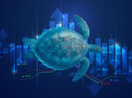 Titelbild Turtle-Strategie