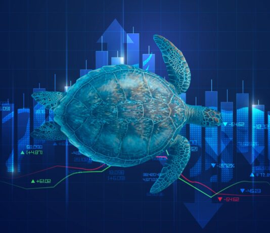Was ist die Turtle-Strategie? Titelbild Turtle-Strategie