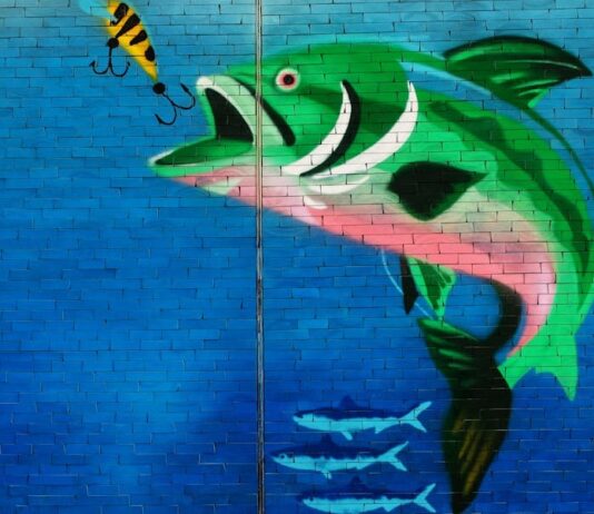 Titelbild Bottom-Fishing